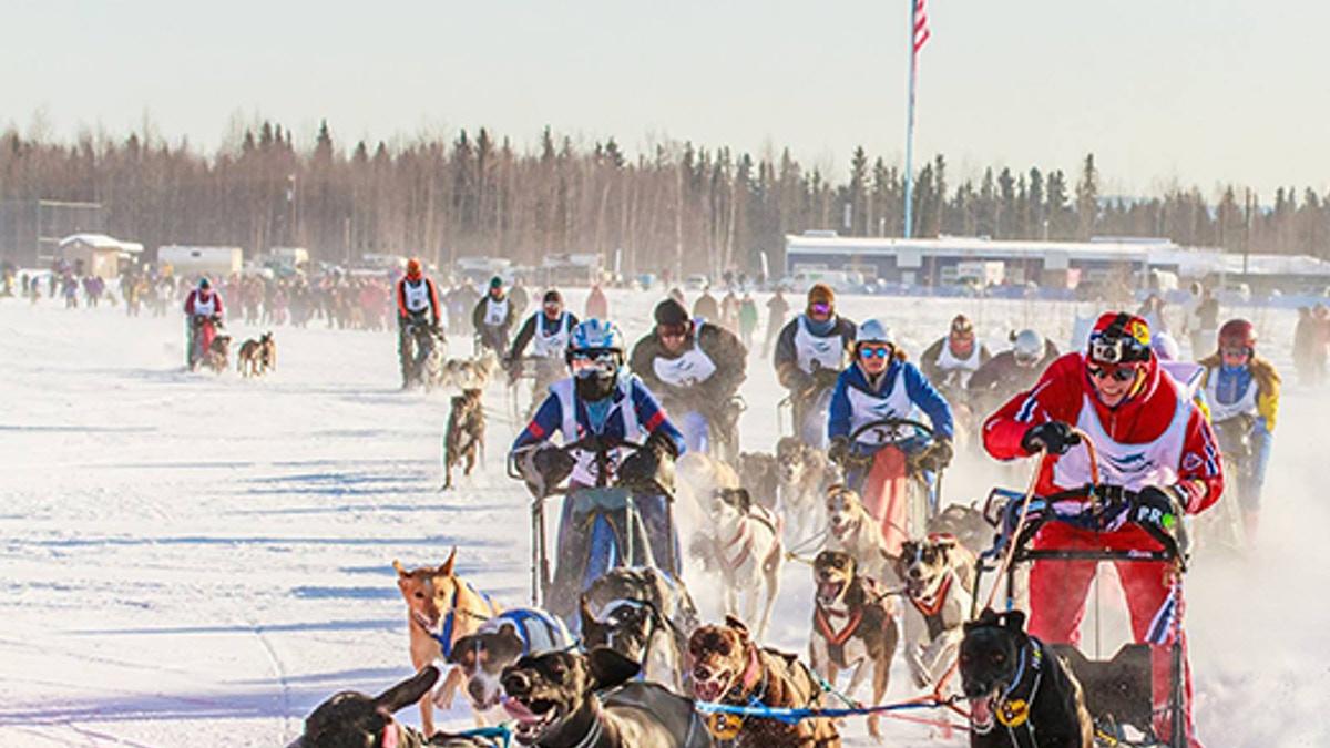 Dogsledding