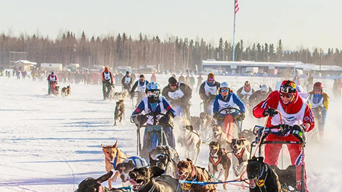 Dogsledding