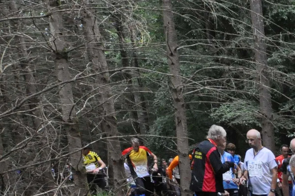 Orienteering
