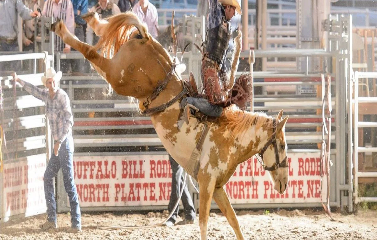 Rodeo
