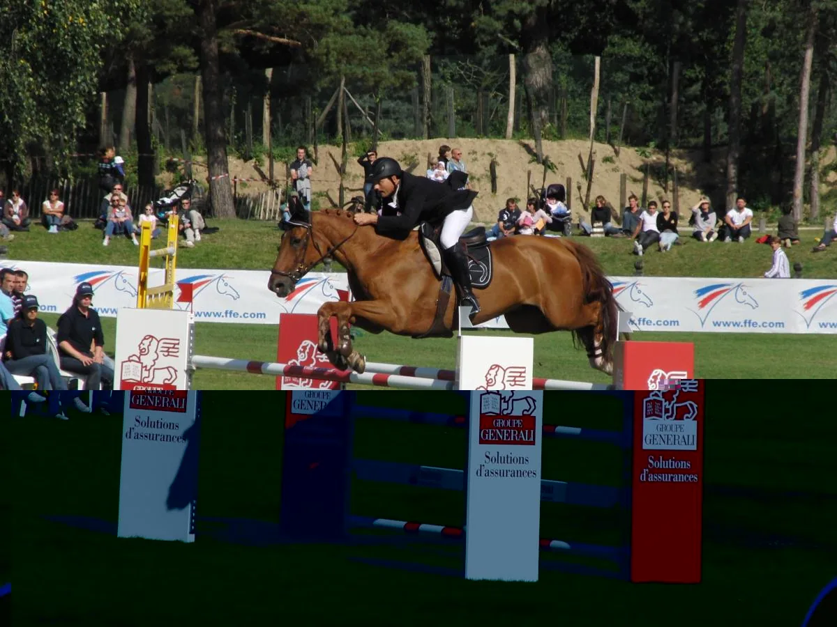 Show Jumping