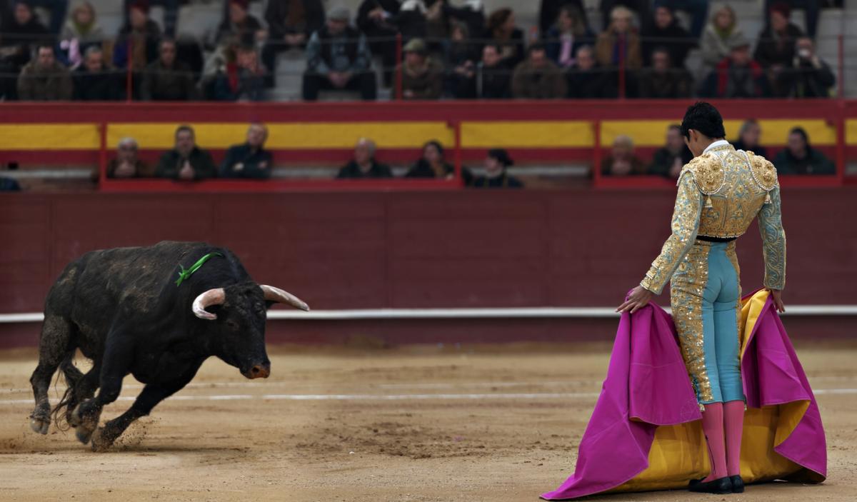 Bullfighting