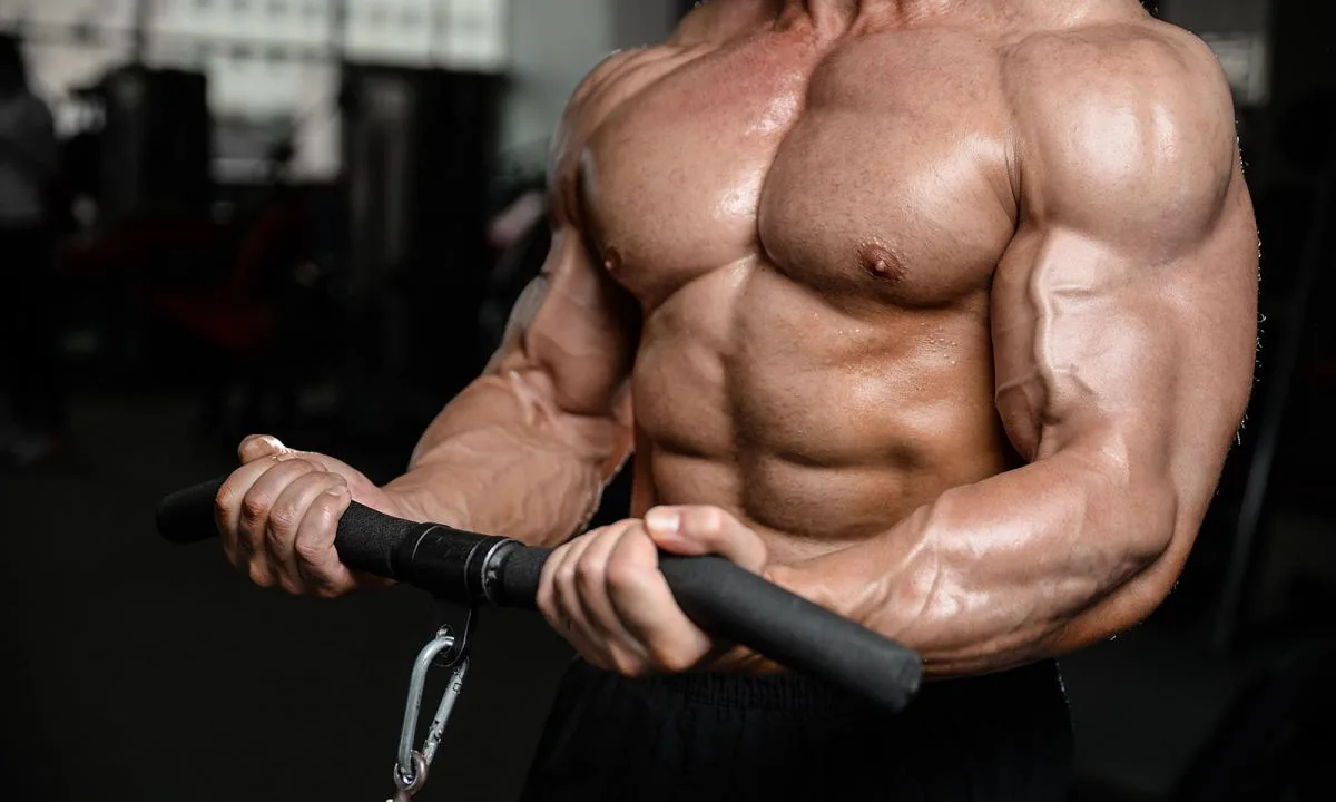 Body Building