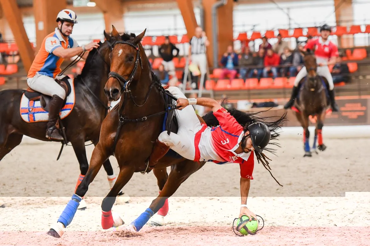 Horseball