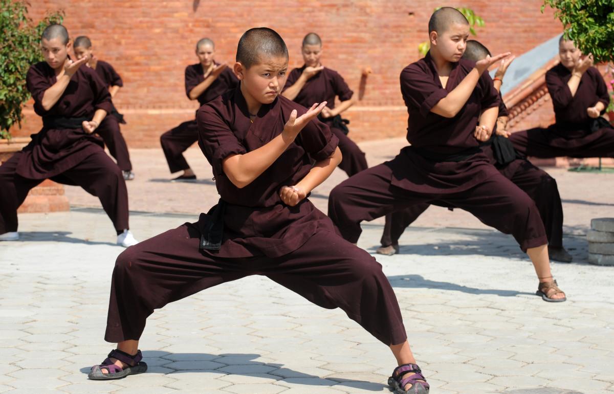 Kung Fu/Wushu