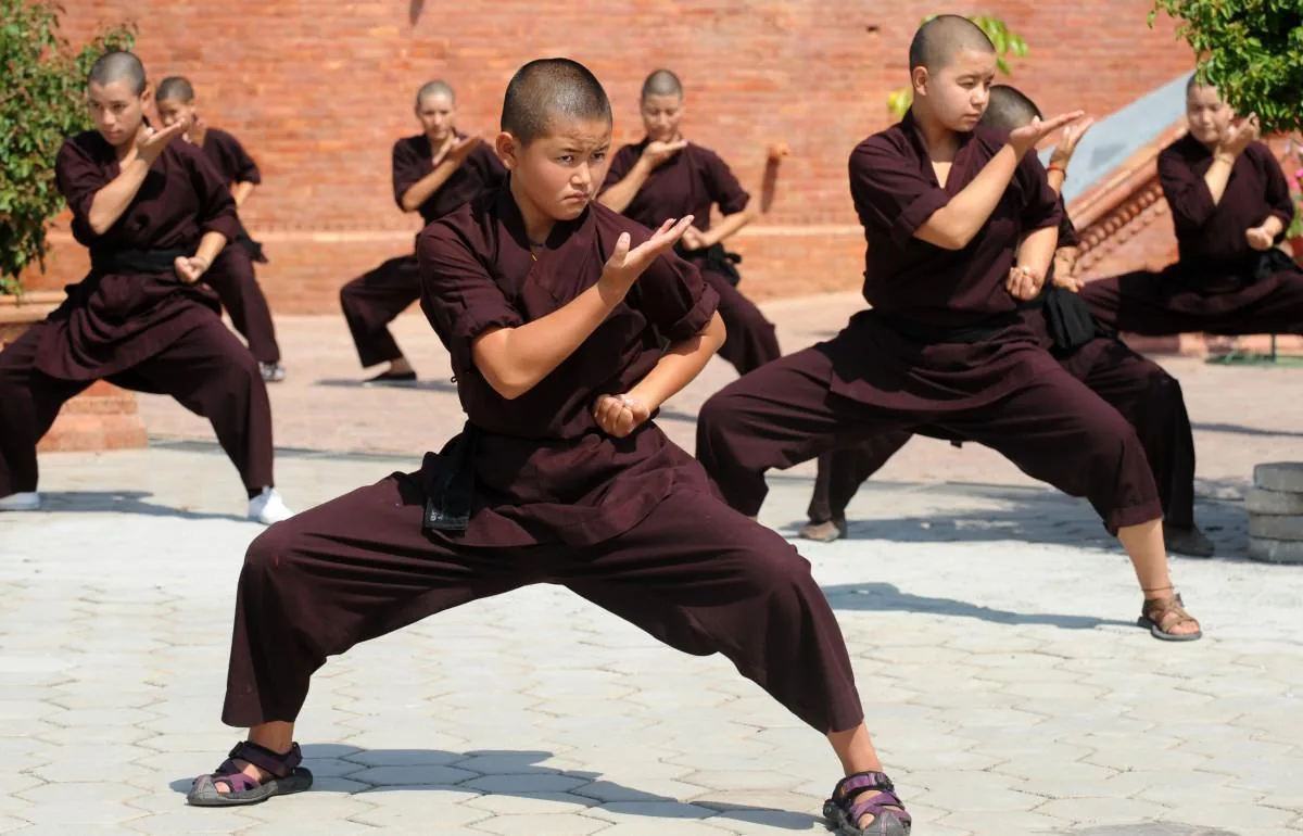 Kung Fu/Wushu