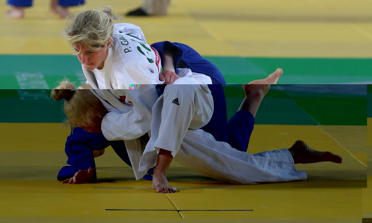 Para-judo