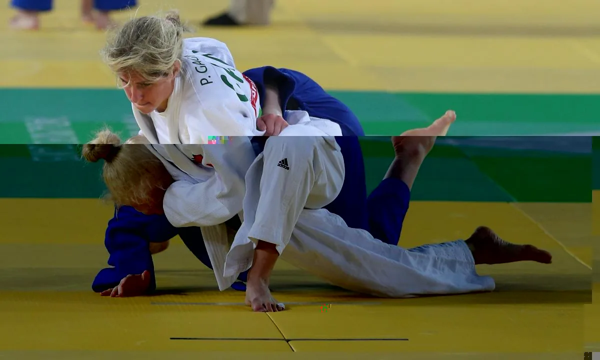 Para-judo