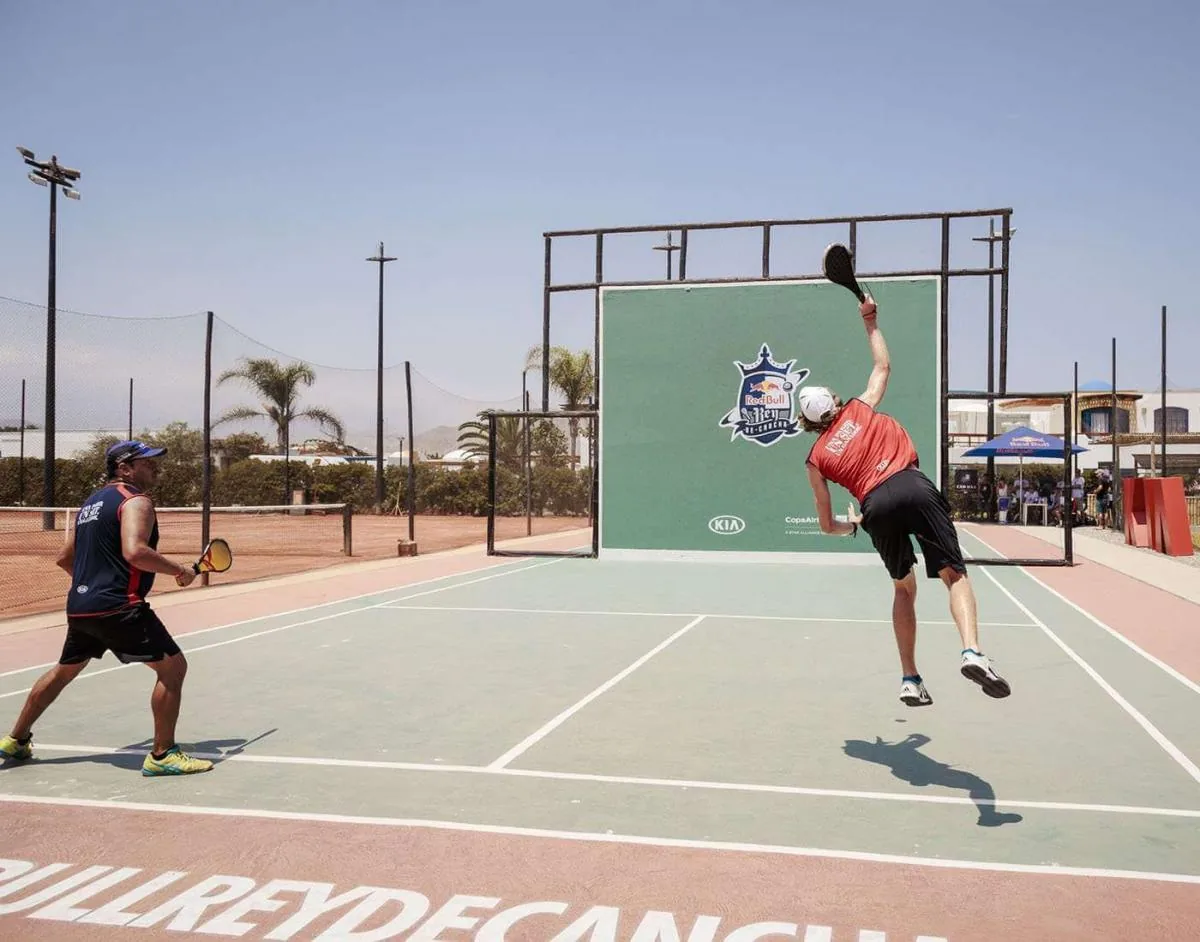 Paleta Fronton